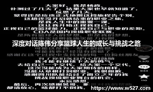 深度对话陈伟分享篮球人生的成长与挑战之路